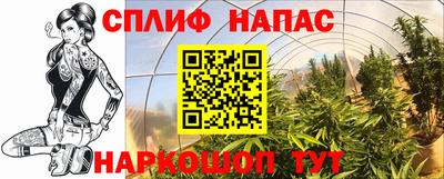 ПСИЛОЦИБИНОВЫЕ ГРИБЫ Нальчик