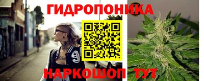 ПСИЛОЦИБИНОВЫЕ ГРИБЫ Нальчик