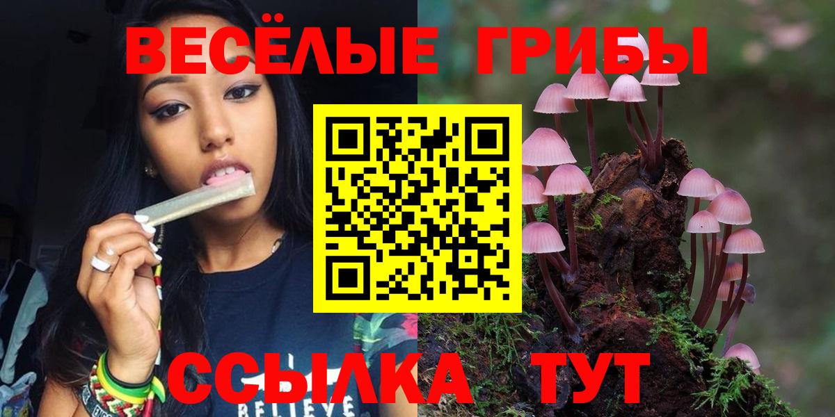 Псилоцибиновые грибы прущие грибы  Вход с VPN  Усинск 